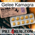 Jelly Kamagra 41